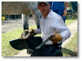 Paul Chapman demonstrates his hoof trim