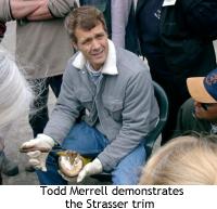 Todd Merrell