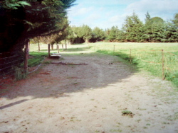 Jill's track